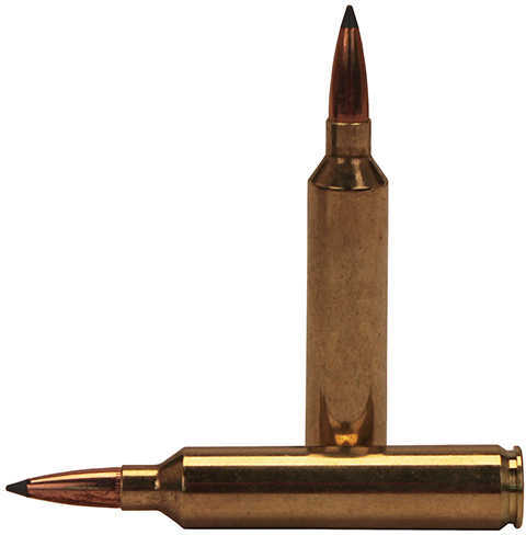 26 Nosler 20 Rounds Ammunition 142 Grain Ballistic Tip