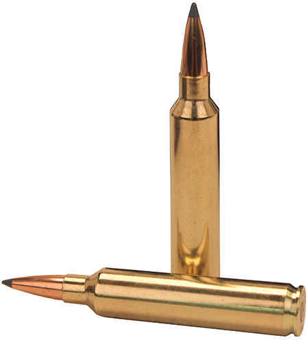 28 Nosler 20 Rounds Ammunition 175 Grain Ballistic Tip