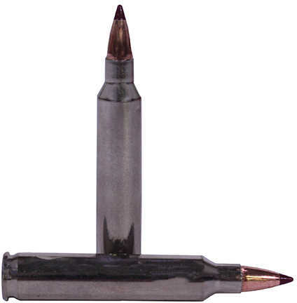 204 Ruger 20 Rounds Ammunition Federal Cartridge 32 Grain Ballistic Tip