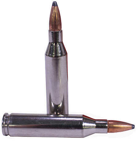 Federal 243 Winchester 100 Grain SP Boat Tail - 20 Rounds for Precision and Power