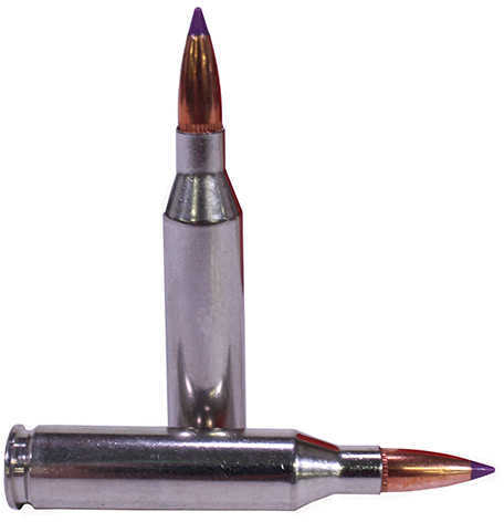 243 Winchester 20 Rounds Ammunition Federal Cartridge 70 Grain Ballistic Tip