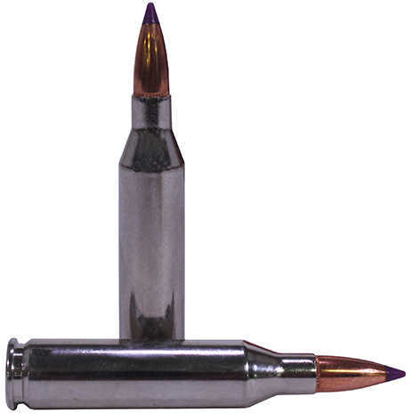 243 Winchester 20 Rounds Ammunition Federal Cartridge 95 Grain Ballistic Tip