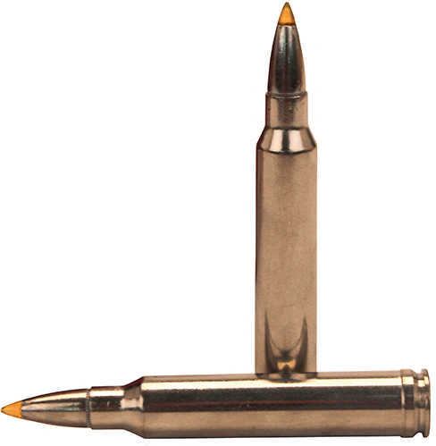 300 Winchester Magnum 20 Rounds Ammunition Federal Cartridge 180 Grain Bonded