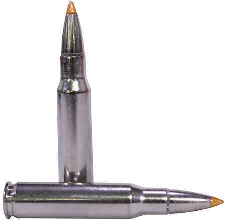 308 Winchester 20 Rounds Ammunition Federal Cartridge 180 Grain Ballistic Tip