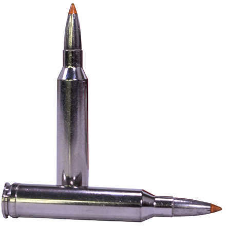 308 Winchester 20 Rounds Ammunition-img-1