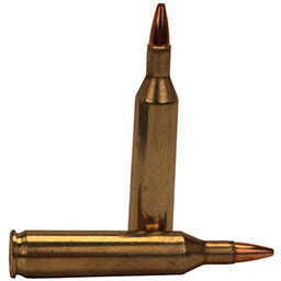 17 Remington 20 Rounds Ammunition 25 Grain Hollow Point