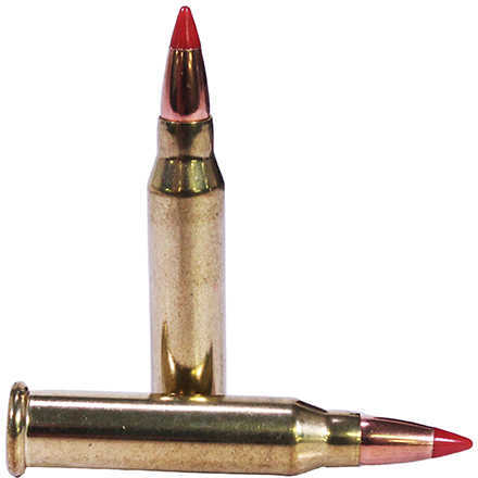 17 Winchester Super Mag 50 Rounds Ammunition 20 Grain Ballistic Tip