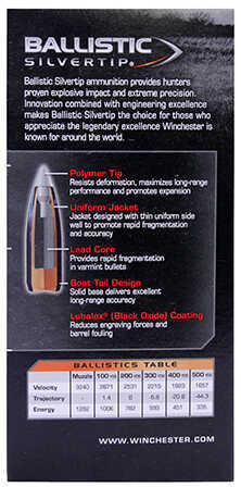 223 Remington 20 Rounds Ammunition Winchester 55 Grain Polymer Tip
