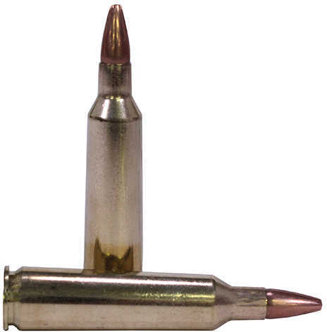 22-250 Remington 40 Rounds Ammunition Winchester 45 Grain Hollow Point