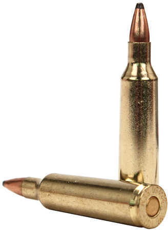 22-250 Remington 20 Rounds Ammunition Winchester 55 Grain Soft Point