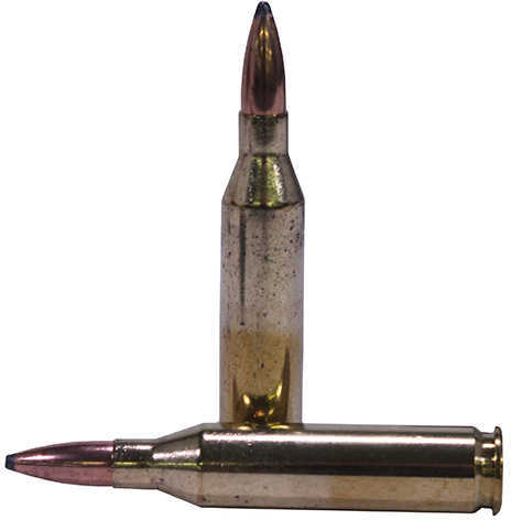 243 Winchester 20 Rounds Ammunition 80 Grain Soft Point