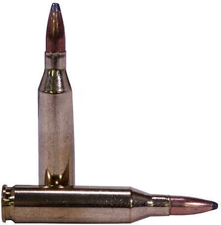 243 Winchester 20 Rounds Ammunition 100 Grain Soft Point