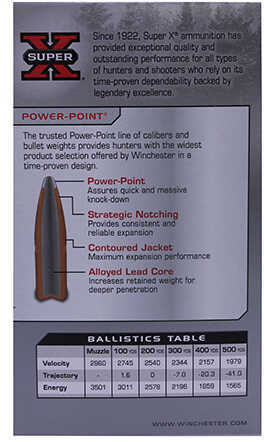 300 Winchester Magnum 180 Grain Soft Point - 20 Rounds for Superior Big Game Hunting