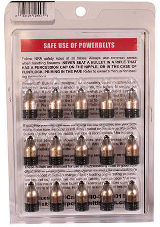 Powerbelt Bullets Platinum AeroTip 50 Caliber (Per 15) 270 Grains AC1553AT