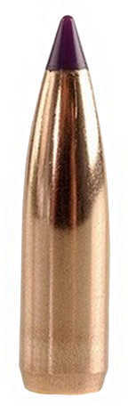 Nosler 6mm/243 Caliber 80 Grains Spitzer Ballistic Tip Varmint (Per 100) 24080