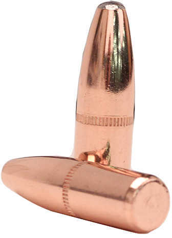 Nosler 308 Winchester 168 Grains Protect Pt Bonded Performance 100/box