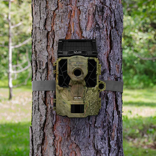 Spy Point Trail Camera Camo Md: SOLAR
