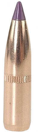 Nosler 6mm / 243 Caliber 90 Grains Spitzer Ballistic Tip Bullets (Per 50) 24090