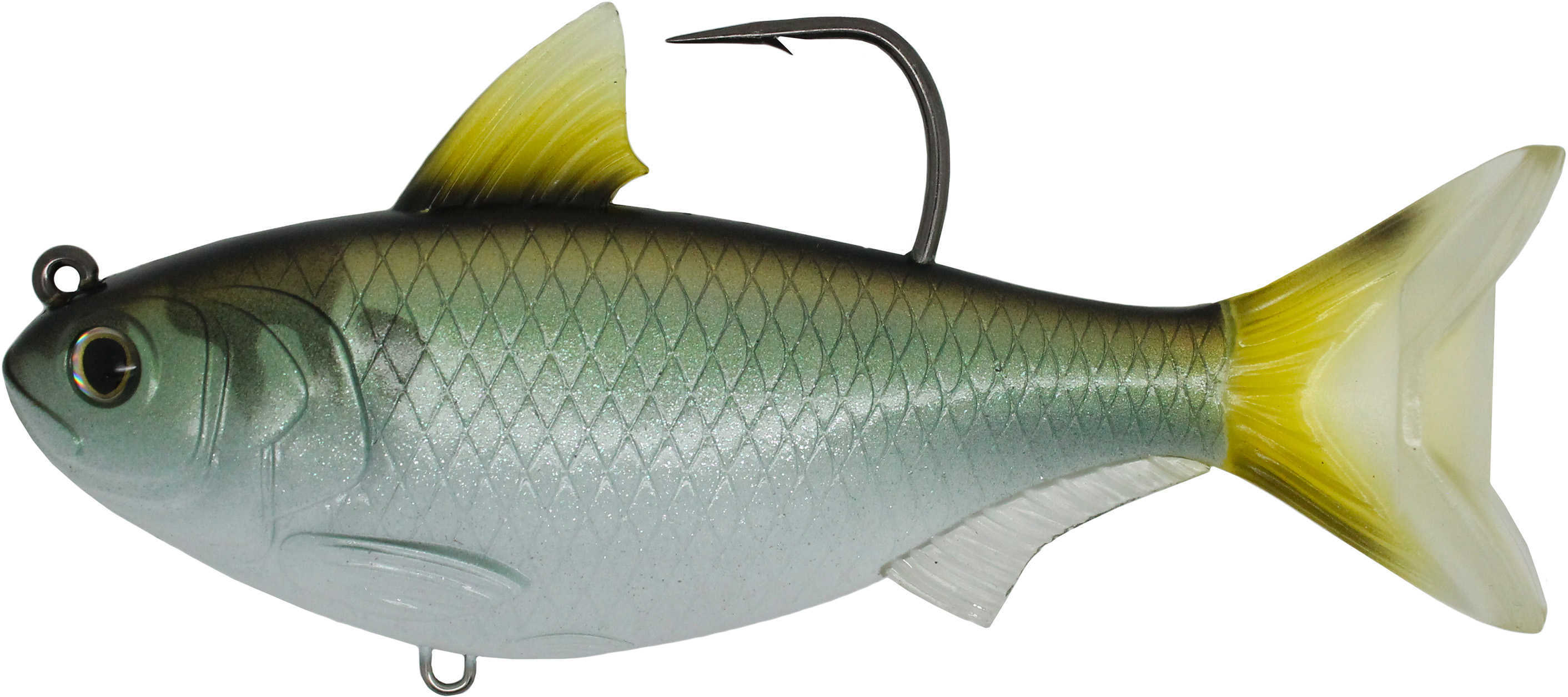 LIVETARGET Lures / Koppers Fishing and Tackle Corp Gizzard Shad Freshwater 5" 8/0 Hook Medium/Slow Sinking Green/Bronze Md: GZS125