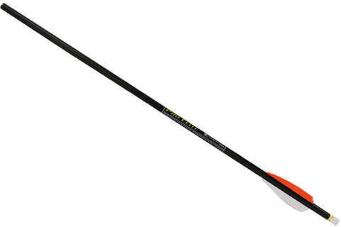 TenPoint Crossbow Technologies 20" Omni-Brite 2.0 Lighted PE Carbon Arrows 72 Pack Md: HEA-638.72