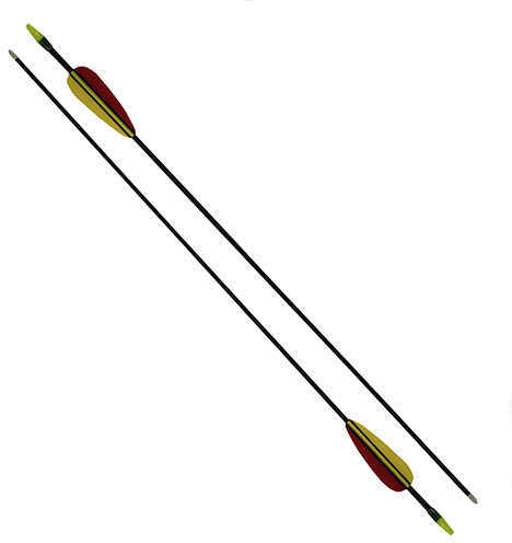 Daisy Outdoor Products Youth Package Longbow Ambidextrous 10-21 lb Draw Weight 16"-24" Length Black