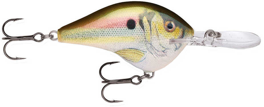 RAPALA DIVE-TO 2.25" LIVE RIVRSHAD-img-1