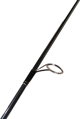 President Spinning Combo 25. 5.2:1 Gear Ratio, 6'6" Length 2pc, 1/16-3/8 Lure Rate, Ambidextrous Md:
