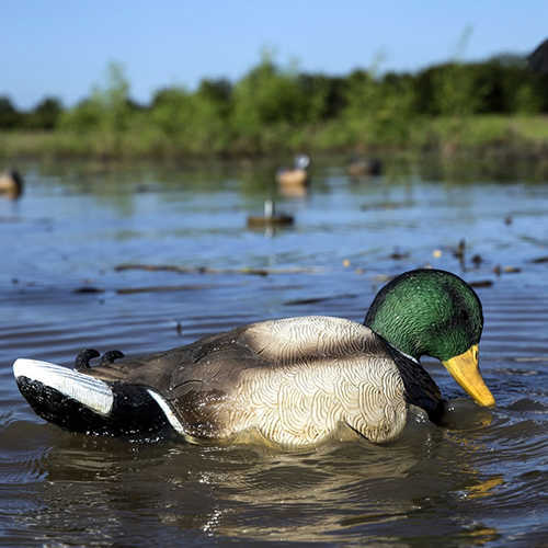 Mojo Decoys Rippler Mallard Drake-img-1