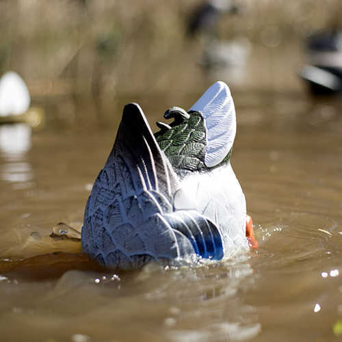 MOJO Butt Up Mallard Rippler Decoy