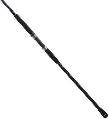 Rockaway Surf Saltwater Spinning Rod 10 Length 2 Piece 10-20 lb Line Rate 3/4-3 oz Lure Me