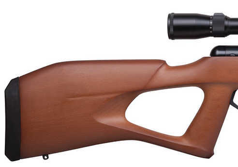 Trail NP Elite Stealth, 22 Caliber with 3-9x32mm Scope, Wood Stock