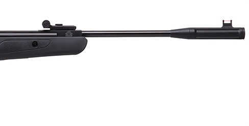 Remington Express Hunter, 22 Caliber, Black