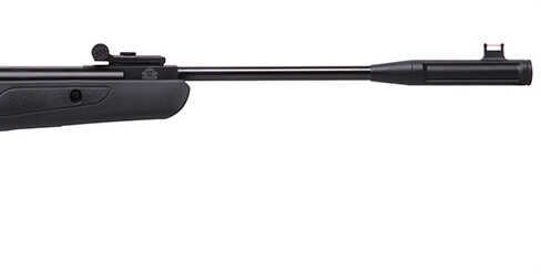 Remington Express Hunter, 22 Caliber, Black