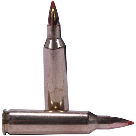 22-250 Remington 20 Rounds Ammunition Nosler 40 Grain Ballistic Tip