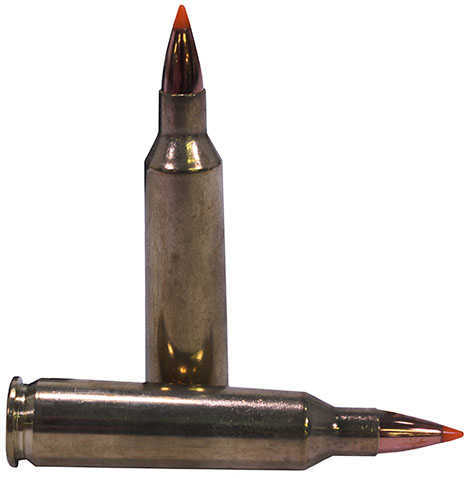 22-250 Remington 20 Rounds Ammunition Nosler 55 Grain Ballistic Tip