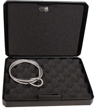 Personal Vaults Large with Key Lock and Security Cable, Black