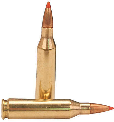 243 Winchester 20 Rounds Ammunition Fiocchi Ammo 95 Grain SST