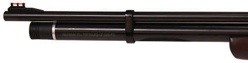 Beeman Chief Air Rifle Bolt .177 Pellet Black Hardwood Stock