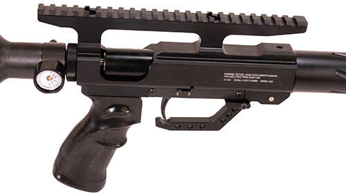 Big Bore TC45, .45 Caliber PCP Air Rifle