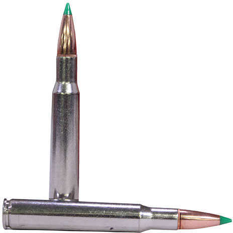 30-06 Springfield 20 Rounds Ammunition Federal Cartridge 165 Grain Ballistic Tip