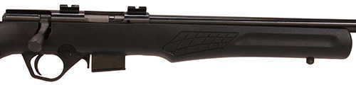 Rossi Rifle RB17 17 HMR 21" Barrel 5rd Synthetic Stock Matte Black Finish