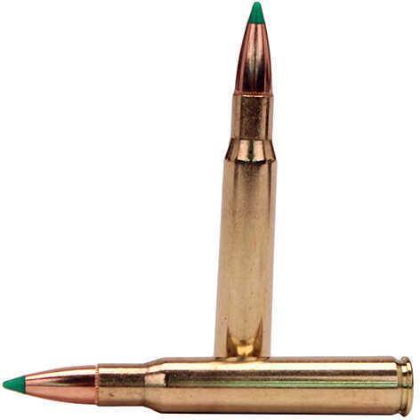 30-06 Springfield 20 Rounds Ammunition Nosler 180 Grain Ballistic Tip