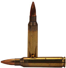 223 Remington 20 Rounds Ammunition Fiocchi Ammo 69 Grain Hollow Point Boat Tail