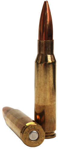 308 Winchester 20 Rounds Ammunition Fiocchi Ammo 175 Grain Soft Point
