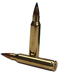 223 Remington 50 Rounds Ammunition Fiocchi Ammo 40 Grain Ballistic Tip