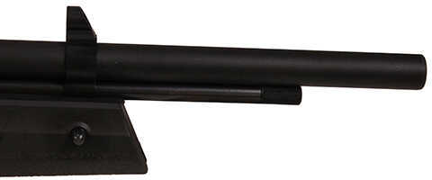 American Tactical Air Rifles Nova Freedom, .177 Caliber Multi-Shot PCP