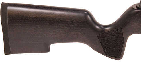 Sig Sauer ASP 20 Air Rifle, .22 Caliber, Gas Piston, Beechwood Stock