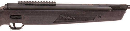 Sig Sauer ASP 20 Air Rifle, .22 Caliber, Gas Piston, Beechwood Stock
