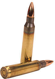 223 Remington 50 Rounds Ammunition Fiocchi Ammo 62 Grain Full Metal Jacket