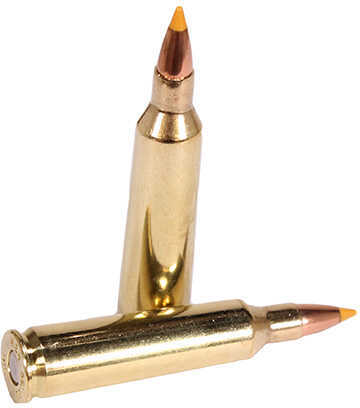 22-250 Remington 20 Rounds Ammunition Sig Sauer 40 Grain Tipped Hollow Point